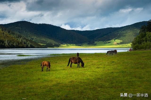 云南最值得游玩的地方