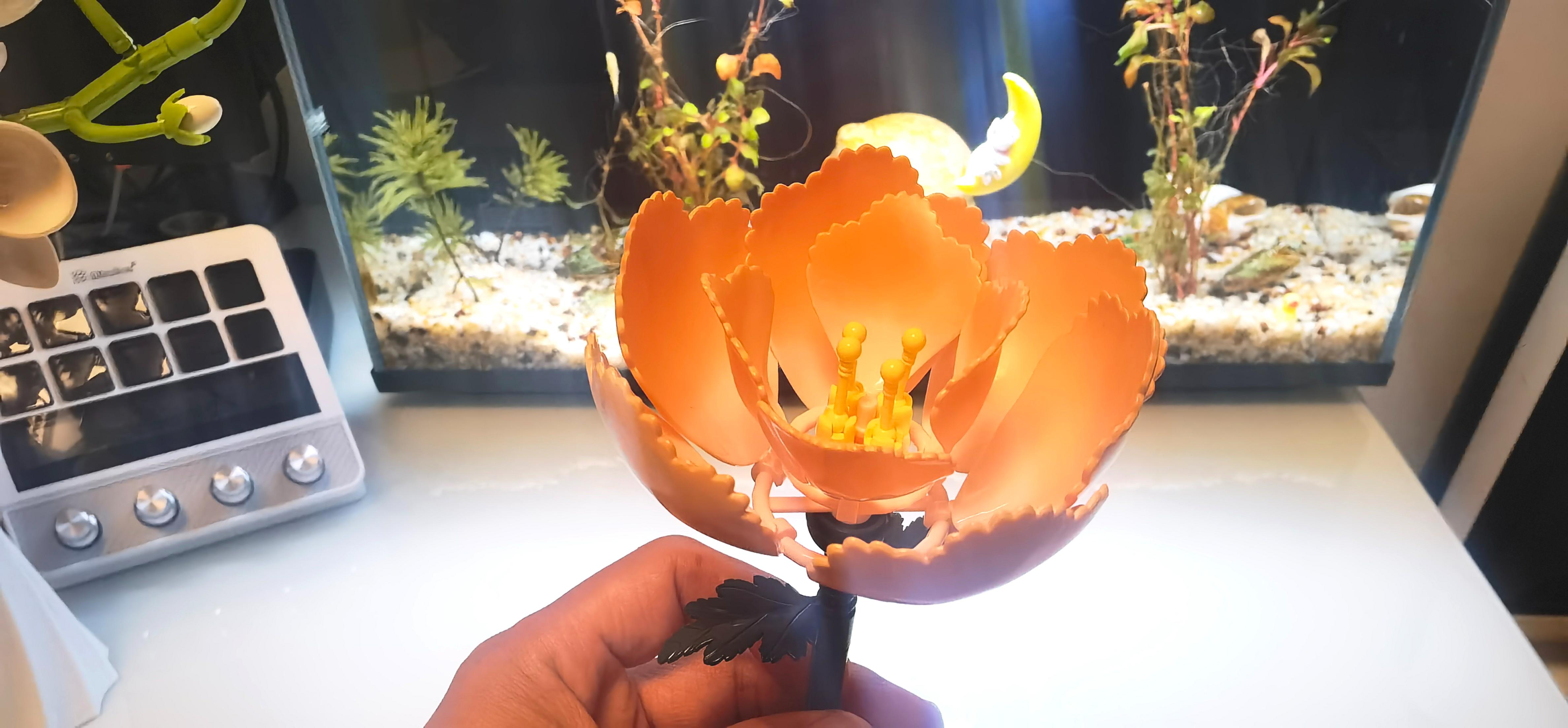 沃马积木永生花,全家参与永不凋谢!