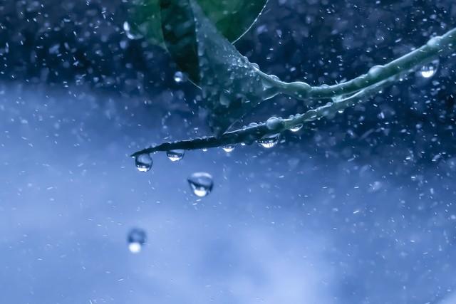 七年级语文上册：《夜雨寄北》原文及翻译