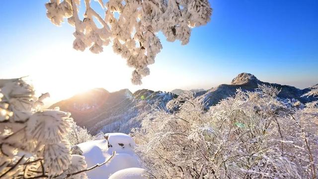 重磅官宣！2026元旦游蒙山，赠送蒙山年卡！全年享无限畅游~