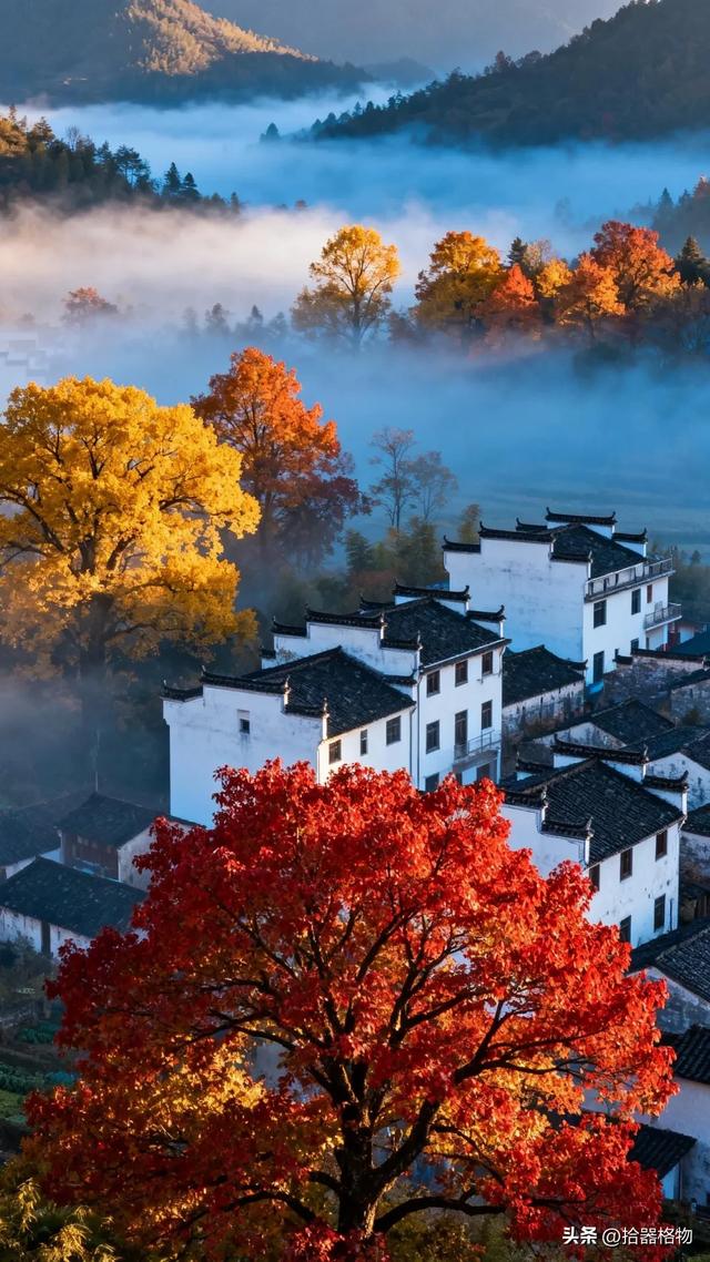 秋日私语:邂逅一场被时光遗忘的斑斓