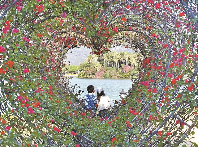 在泉州 连树木都这么有爱