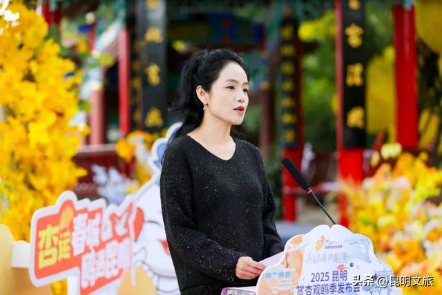 上榜十大热门目的地！年末错峰出游来昆明，观鸥赏杏，攻略都给你做好了~