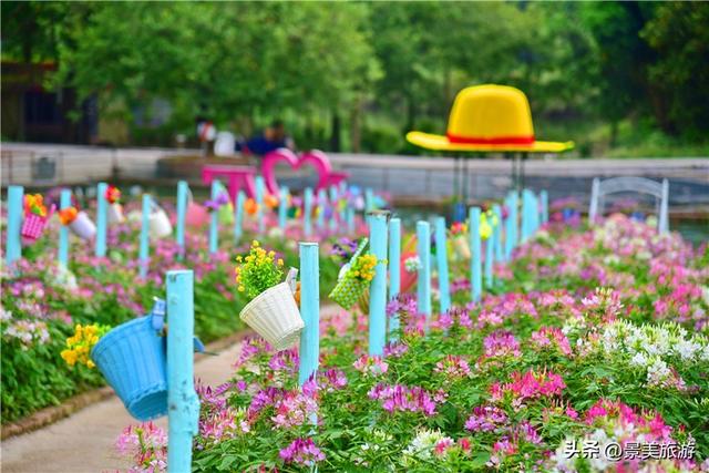 国庆邀约佛山卡玛花世界：在诗词花海中寻觅秋日情绪价值