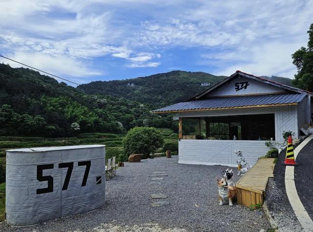 【人文湾里】一捧山水，千年回响