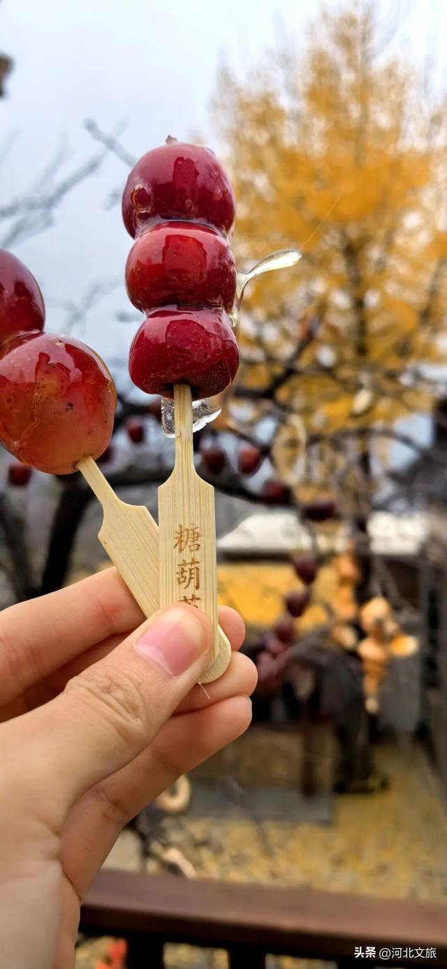 李子柒式的诗意栖居，赞皇也有！