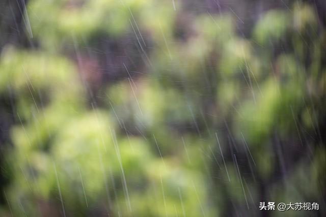 南京国庆中秋假期天气剧透！雨水、降温齐上阵，出行计划得改改了