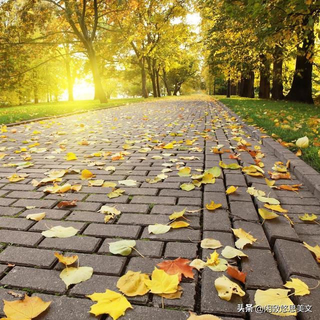 随笔：以晨露沏茶，拿暮色养心，把日子过成诗