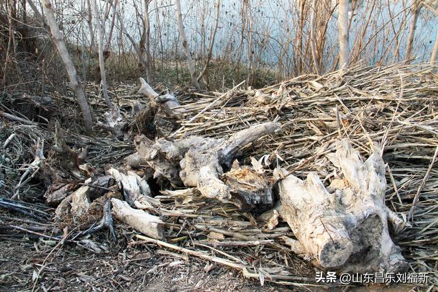 这一次外出闲游感慨颇多