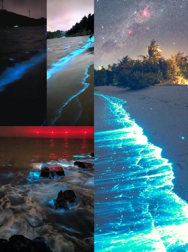 平潭岛夜光藻蓝海奇观！此生必看的荧光海浪秘境！