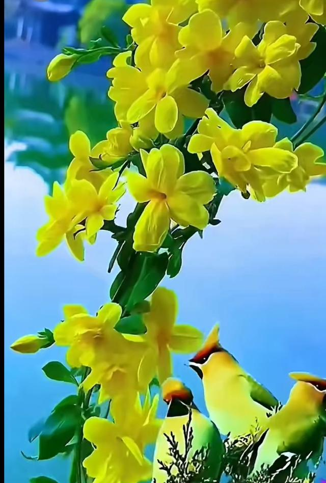 激发女人“兽性”！让她主动的三狠招，男人必学