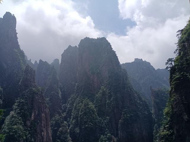 黄山一日游：在奇景与人心间丈量性价比
