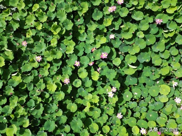 河北中南部旅游攻略：邯郸、邢台、保定