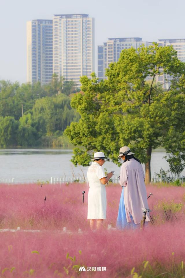 汉阳，变色……了