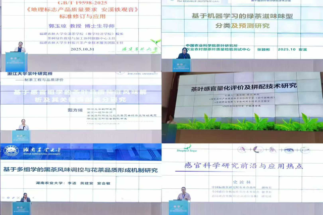 汇聚茶界智慧！中国茶叶学会第十届茶叶审评研究学术沙龙召开
