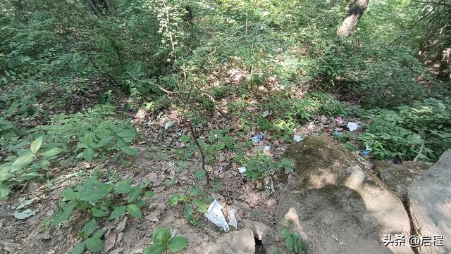 到青华山看千年卧佛，一路上垃圾随处可见
