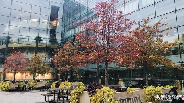 哈佛医学院丑闻：道德底线在利益面前崩塌