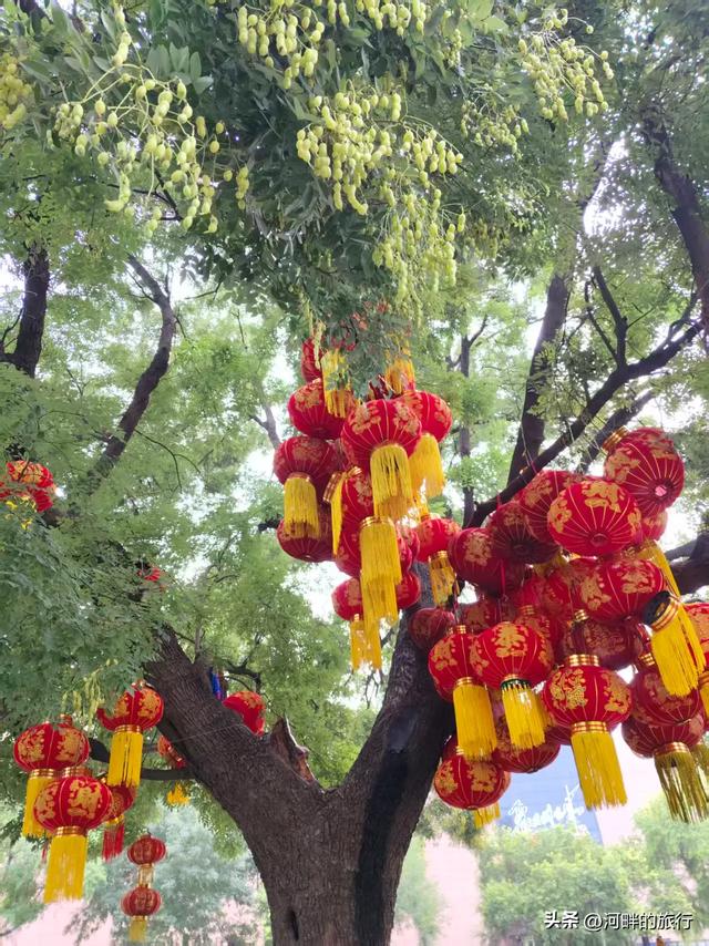 新乡市城里十字大槐树