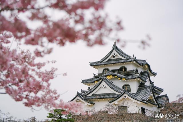 备受欧美游客喜欢的雪国，被我找到了