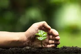 调解：有后妈就有后爸，继女一番话震惊全场：我的成长中只有打骂图片