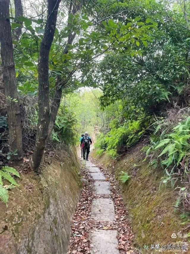 秋风起，浙江这条绝美海岛风光徒步穿越线路，可以安排了！