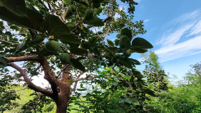 石家庄鹿泉区铜冶镇南寨村冷泉-风动石环穿