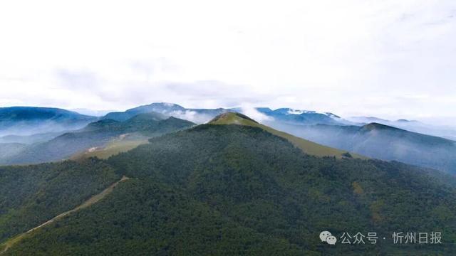 看，是金山梁！