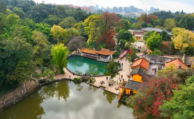 云南昆明最大的赏枫胜地，有6000余株枫树，红叶与古寺相映成趣