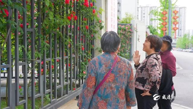 移步皆景！威远这里200多米的“花瀑布”藏不住了