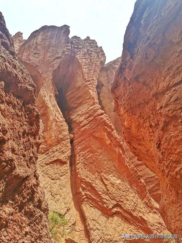 天山神秘大峡谷寻幽探秘