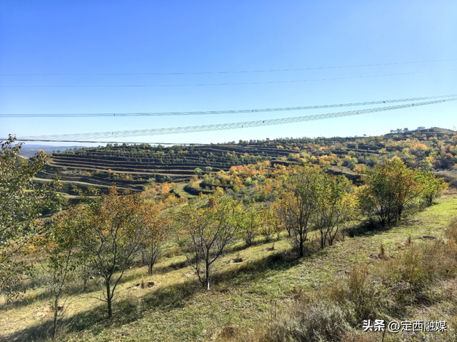 安定区：拾叶觅秋