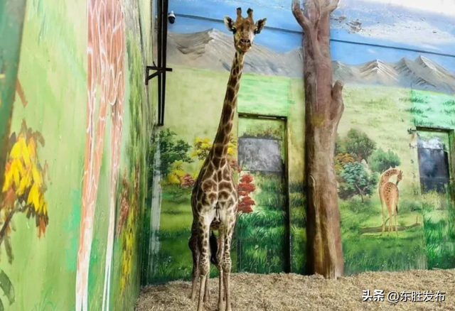 速来！半价特惠！