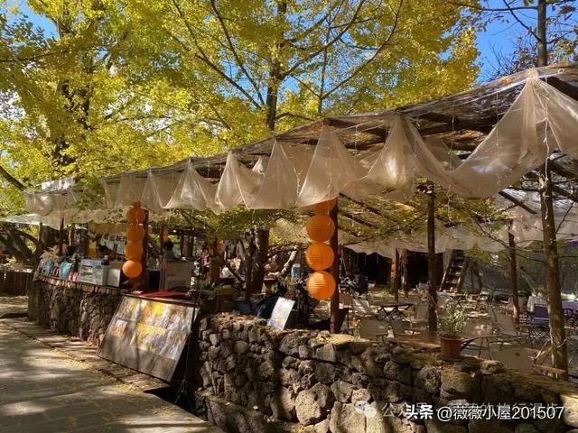 腾冲秘境：火山沉寂，绽放的地质与自然之美