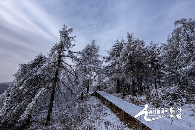 七里峪五龙壑现雾凇冰挂 绘就冬日梦幻景