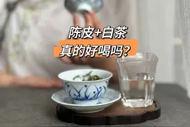 陈皮+白茶，越喝越健康？扒开遮羞布，带你看看隐藏的真相图片