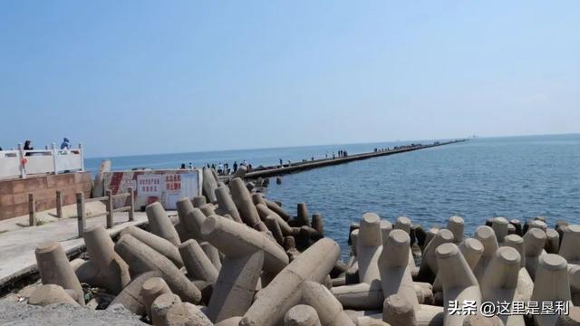 黄河入海 大美垦利丨沉浸式解锁夏日文旅新体验