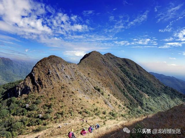 大美高陂 一村一景