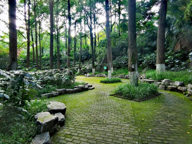拯救高温周末！南京本地人私藏的6个清凉公园，免费又好玩，快冲