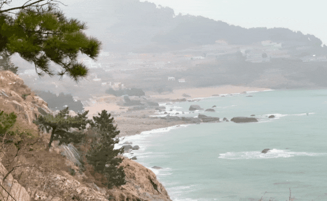 限时仙境！半价优惠！崂山巨峰雾凇季来了！打卡攻略速看