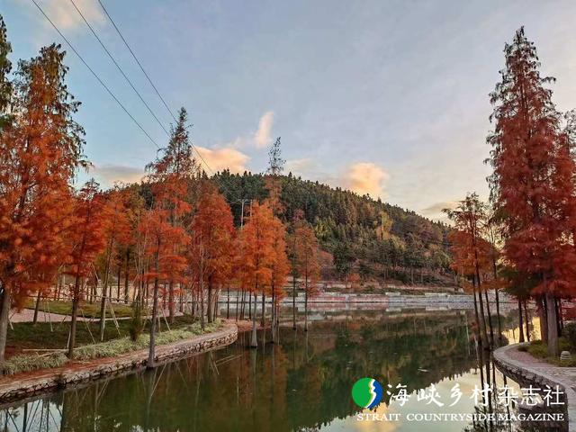 【金牌旅游村】福建｜三元区小蕉村：村在景中 景在村中