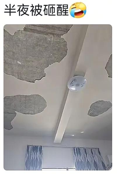 笑麻了，两广地区的催婚方式真硬核啊，网友：卧室堪比陋室铭