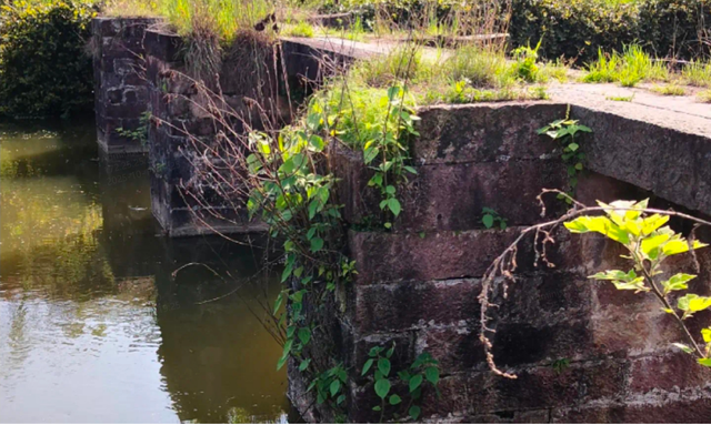 金华阳端桥：有善之心，做善之事，成善之人