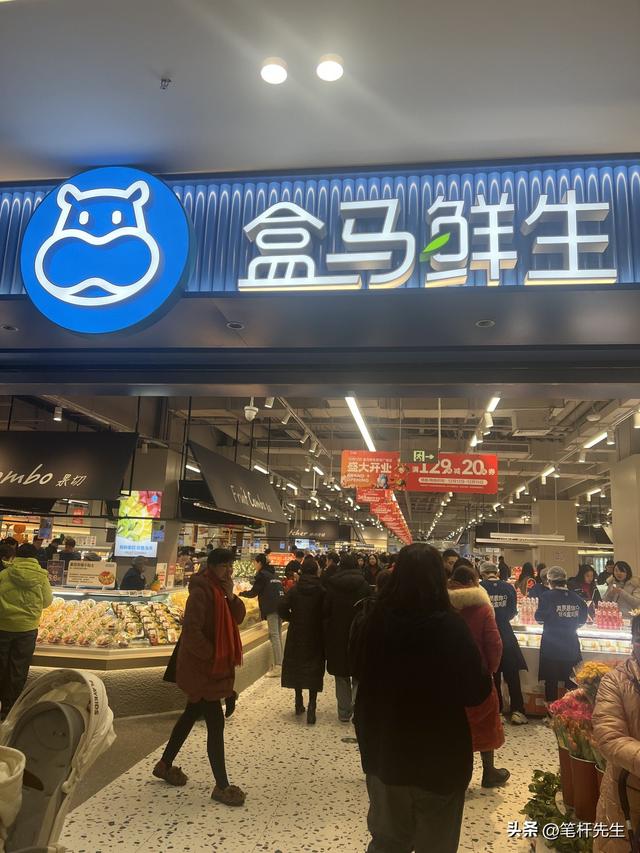 盒马老将空降高鑫零售！年薪缩水7成，能救连续8年下滑的大润发？