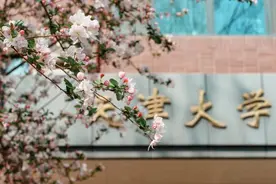 天津这两所高校公布本科招生计划！图片