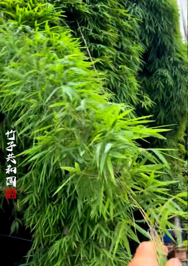 不要再去看黄果树瀑布了！