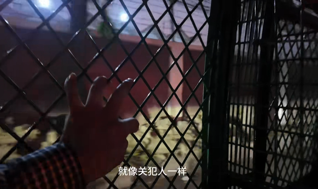 中国小伙勇闯孟加，刚下机场直接崩溃，落地第一件事就是“坐牢”
