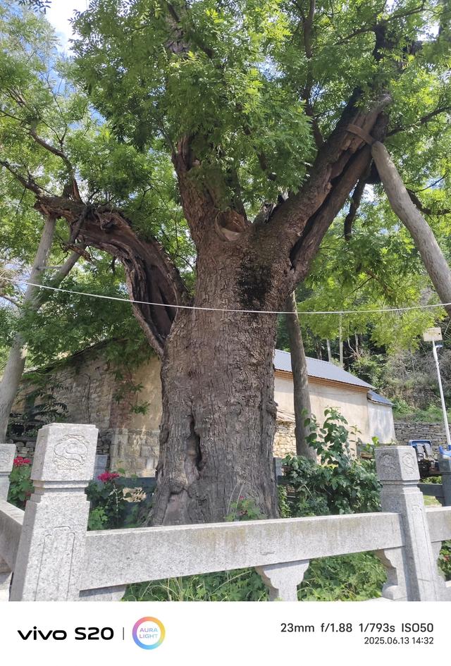 乡村一日游—淄川古村落池板村