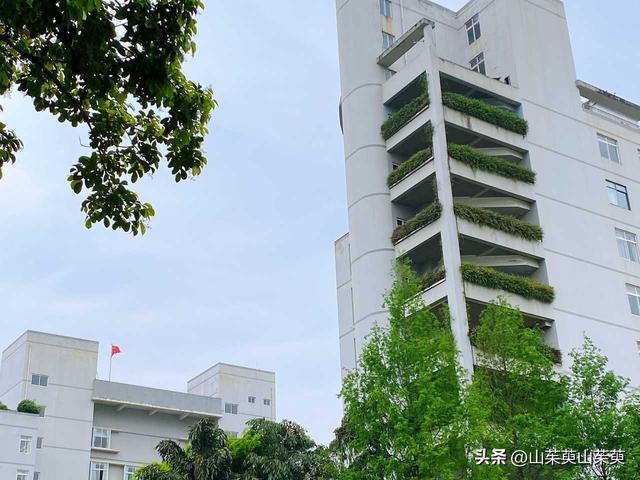 2023年春重庆探亲记（三）