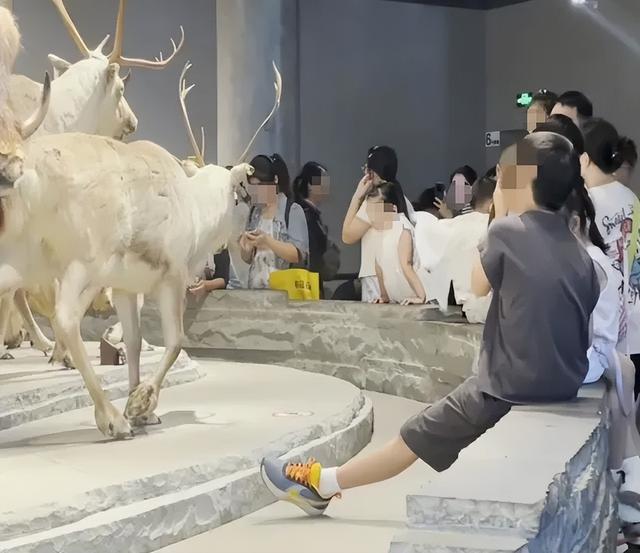 多名孩子闯进博物馆禁区，家长在旁鼓励：拍张照！