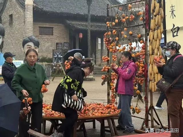 王博||蓝田白鹿原影视城“关中柿界寻秋季”暖心启幕